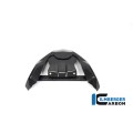 Ilmberger Carbon Front Beak Front Extension for the BMW R 1250 GS 2019 Ilmberger Carbon Front Beak Front Extension for the BMW R 1250 GS 2019